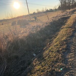 Meet your Posher, Joe